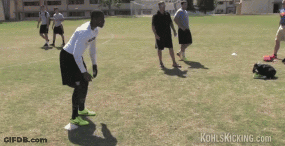 Punt GIF