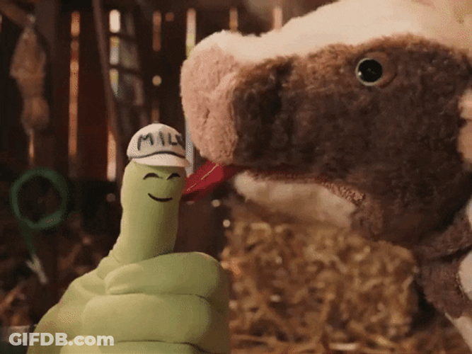Pupper Cow Licking Finger GIF