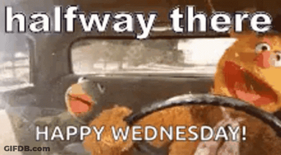 Puppet Driving Half Way There GIF