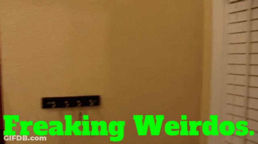 Puppet Freaking Weirdos GIF