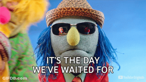 Puppet In Hat And Sunglasses Says It's The Day We've Waited For GIF