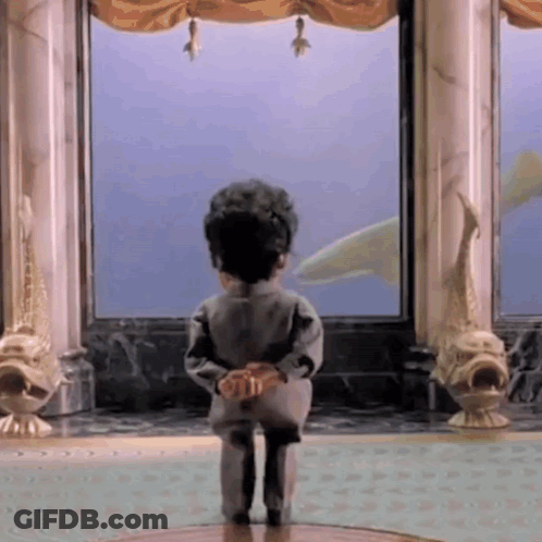 Puppet Looking At Fish Tank By Window GIF