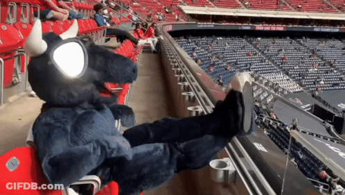 Puppet Standing In Front Of Football Field Saying Touchdown Tampa Bay Buccaneers GIF