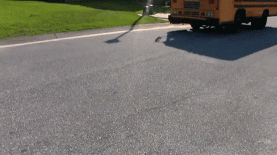 Puppets Fighting Over Short Bus GIF