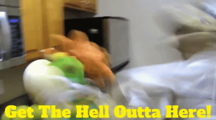 Puppets Get Me Outta Here GIF