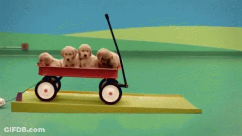 Puppies In Red Wagon GIF
