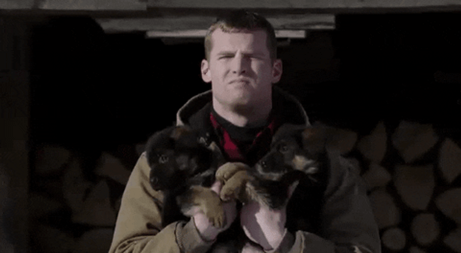 Puppies Letterkenny All Right GIF