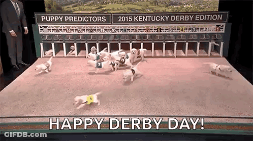Puppies Running Race Happy Derby Day GIF