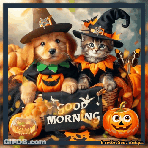 Puppy And Kitten In Halloween Costumes Holding Good Morning Sign GIF