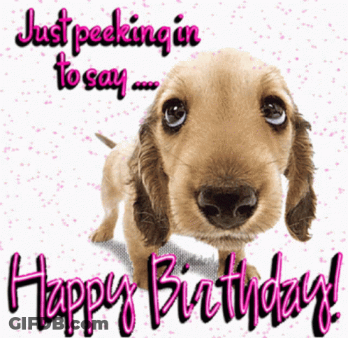 Puppy Birthday Card Saying Happy Birthday GIF