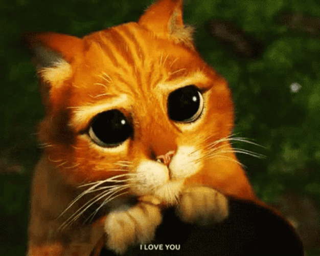 Puppy Dog Eyes Puss In Boots GIF