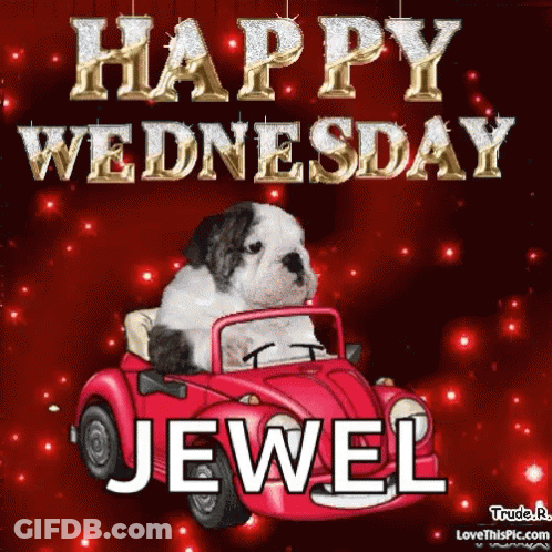 Puppy Driving Red Car Happy Wednesday Jewel GIF