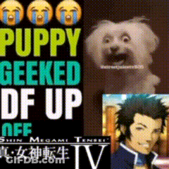 Puppy Geeked Df Up Off GIF