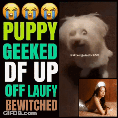 Puppy Geeked Up Laufy Bewitched GIF