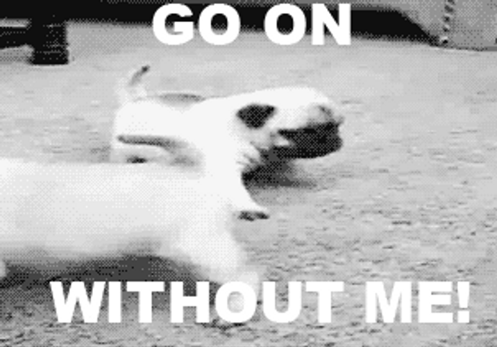 Puppy Go On Without Me GIF