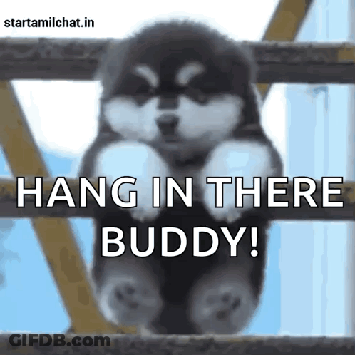Puppy Hanging On Fence Says Hang In There Buddy GIF