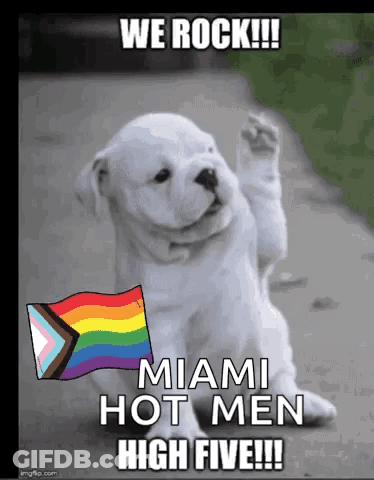 Puppy Holding Rainbow Flag We Rock Miami Hot Men High Five GIF