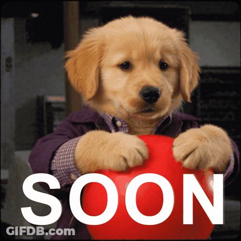 Puppy Holding Red Ball With Word Soon GIF