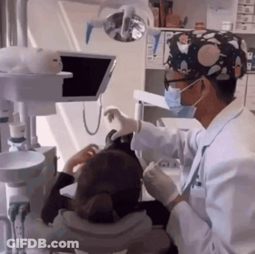 Puppy In Santa Hat With Christmas Lights GIF