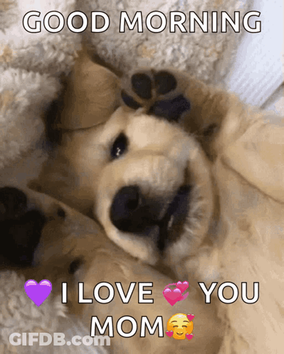 Puppy Laying On Back Saying Good Morning I Love You Mom GIF