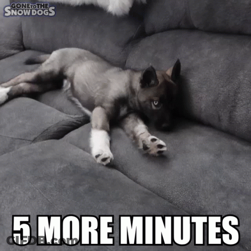 Puppy Laying On Couch Saying 5 More Minutes GIF