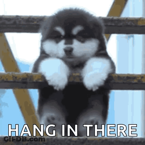 Puppy Leaning Over Railing Hang In There GIF