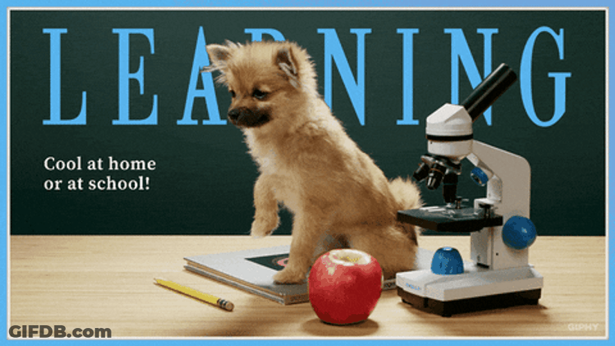 Puppy Learning Back To School GIF
