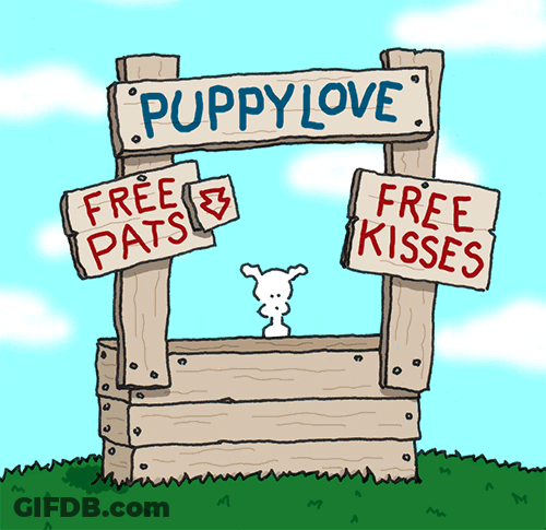PUPPY LOVE FREE PATS FREE KISSES Chippy The Dog GIF