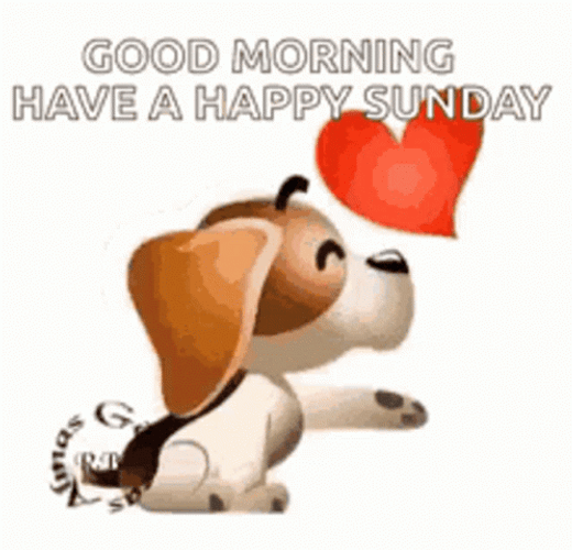 Puppy Love Kiss Cute Sunday GIF