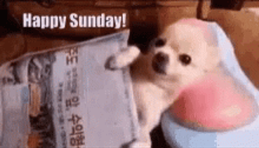 Puppy Massage Cute Sunday GIF