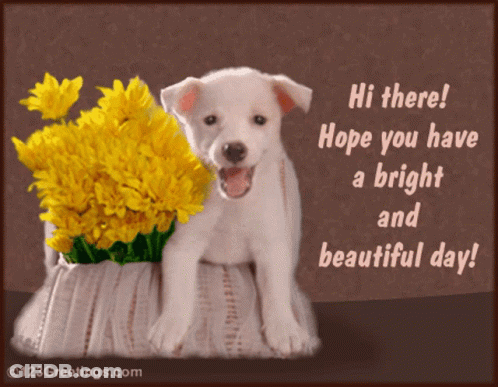 Puppy Next To Yellow Flowers Says Hi GIF