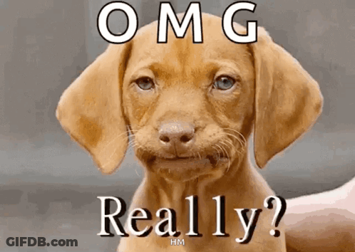 Puppy OMG Really GIF