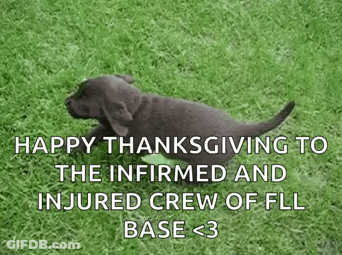 Puppy Running Happy Thanksgiving To FLL Base Crew GIF