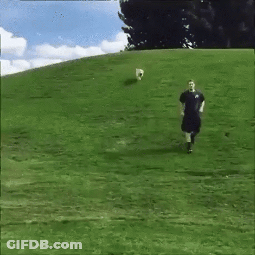 Puppy Rushing Downhill Faceplant GIF