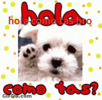 Puppy Saying Hola Como Tas Bro Como Tas GIF