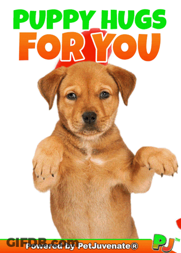 Puppy Saying Puppy Hugs For You GIF