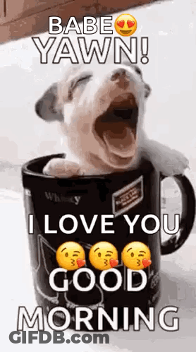 Puppy Sitting In Coffee Mug Yawning GIF