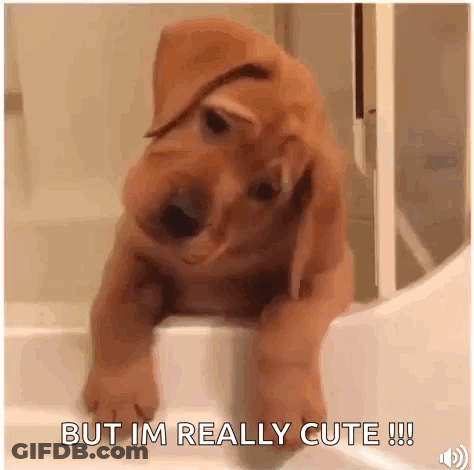 Puppy Sitting On Bathtub Edge GIF