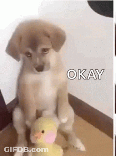 Puppy Sitting On Stuffed Animal GIF