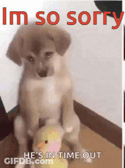 Puppy Sitting On Stuffed Animal Sorry In Time Out GIF