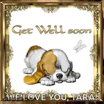 Puppy Sleeping Get Well Soon We Love You Tara GIF