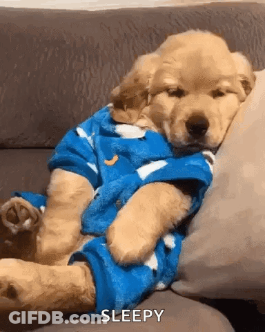 Puppy Sleeping In Pajamas GIF
