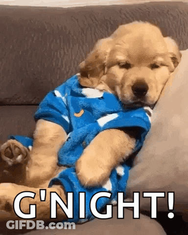 Puppy Sleeping On Couch In Blue Pajamas GIF