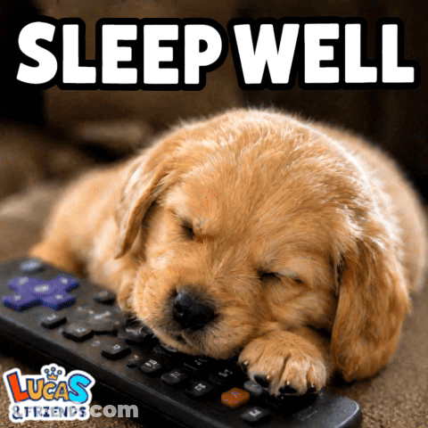 Puppy Sleeping On Remote Control Saying Sleep Well GIF