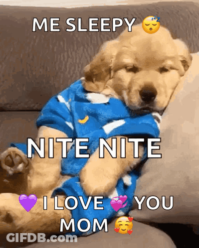 Puppy Sleeping With Me Sleepy Nite Nite I Love You Mom GIF