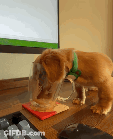 Puppy Sniffing Cup Next To Keyboard With End Key GIF