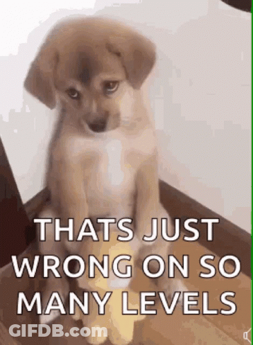 Puppy Staircase That's Just Wrong So Many Levels GIF