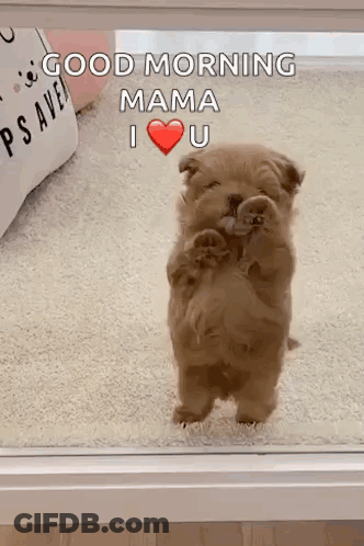 Puppy Standing On Hind Legs Saying Good Morning Mama I Love You GIF