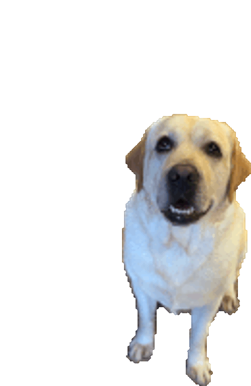 Puppy Sticker GIF