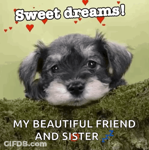 Puppy Sweet Dreams My Beautiful Friend And Sister GIF